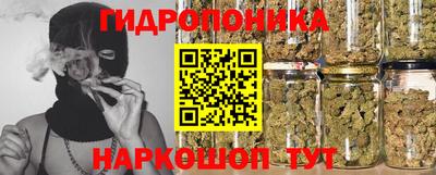 PSILOCYBIN Нальчик