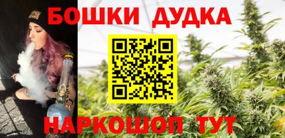 PSILOCYBIN Нальчик