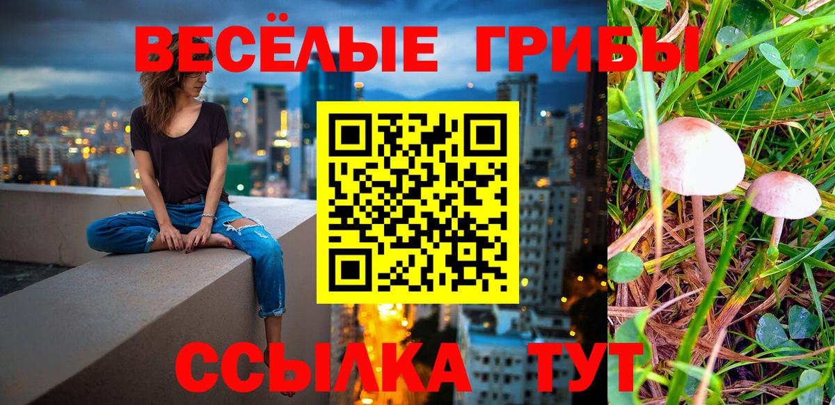 Обнинск  Псилоцибиновые грибы прущие грибы  Псилоцибиновые грибы мухоморы  Вход с VPN 