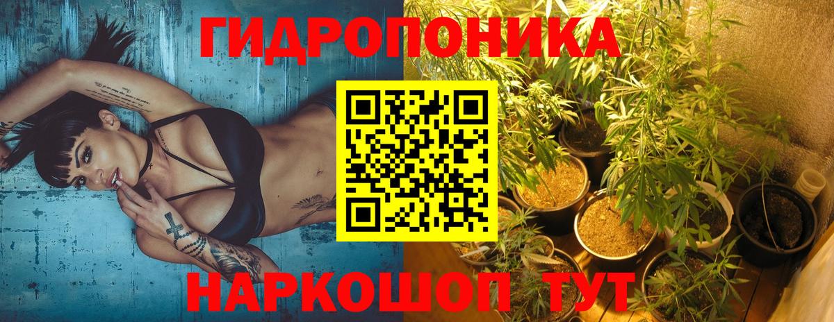 Шишки марихуана OG Kush Обнинск